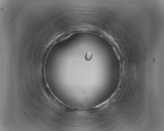 X0000080670154200612301408