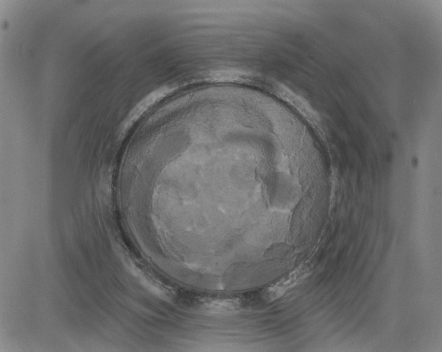 X0000080670155200612301408