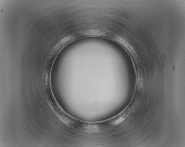 X0000080670157200612301409