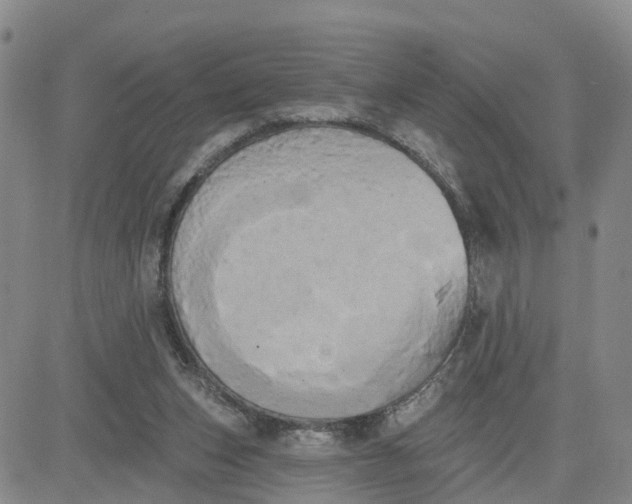 X0000080670159200612301409