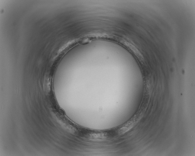 X0000080670160200612301409