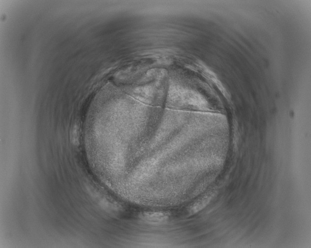 X0000080670161200612301409