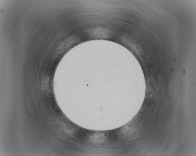 X0000080670162200612301409