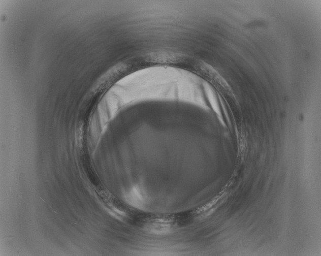 X0000080670163200612301409