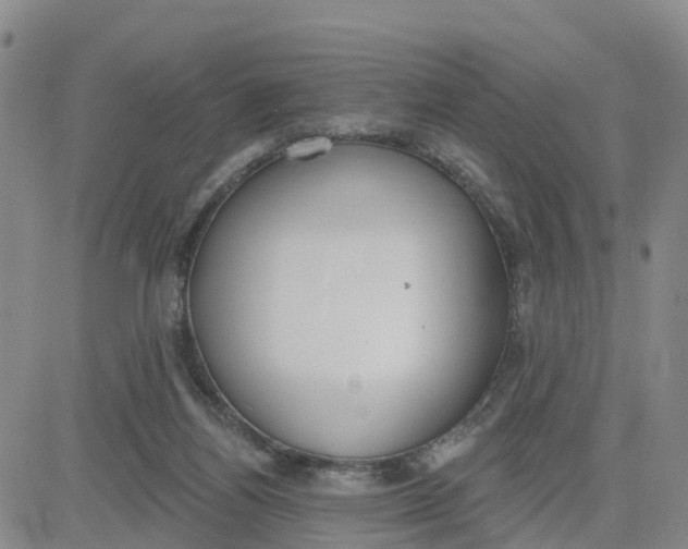 X0000080670164200612301409