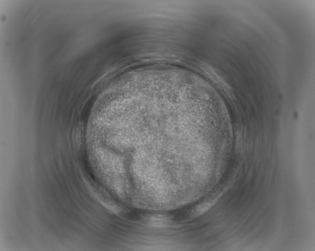 X0000080670165200612301409