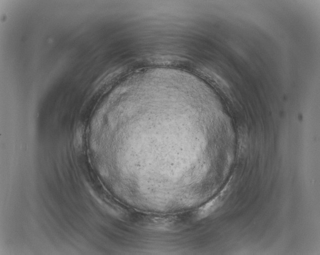 X0000080670166200612301409