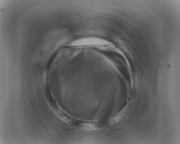 X0000080670167200612301409