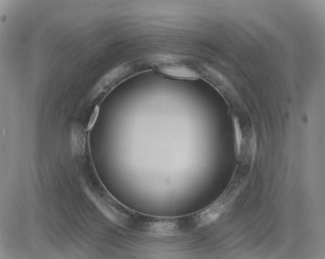 X0000080670168200612301409