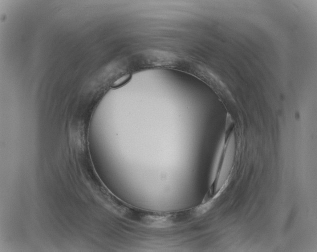 X0000080670170200612301409