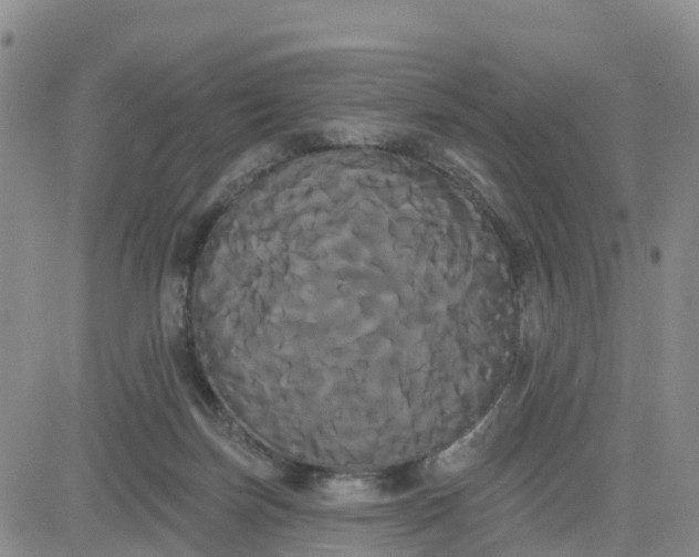 X0000080670171200612301409