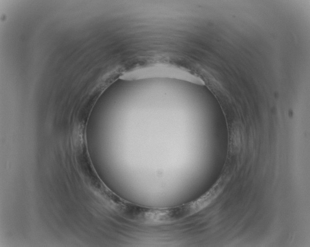 X0000080670172200612301409