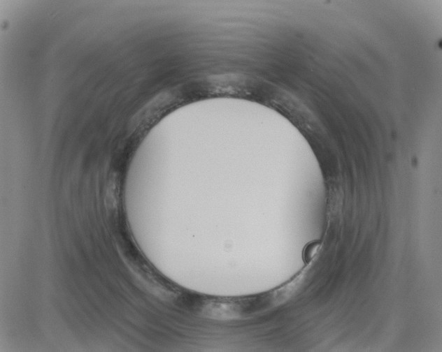 X0000080670174200612301409