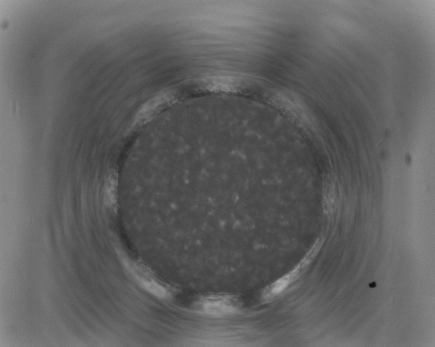 X0000080670175200612301409