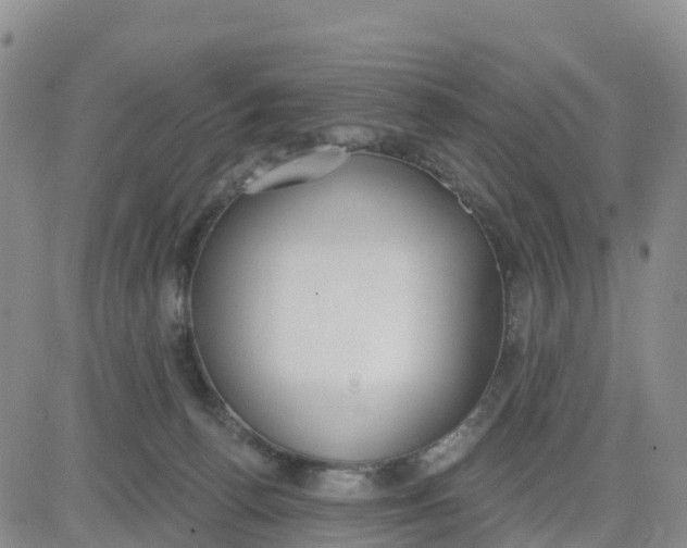 X0000080670176200612301409