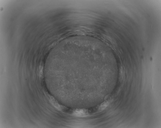 X0000080670177200612301409