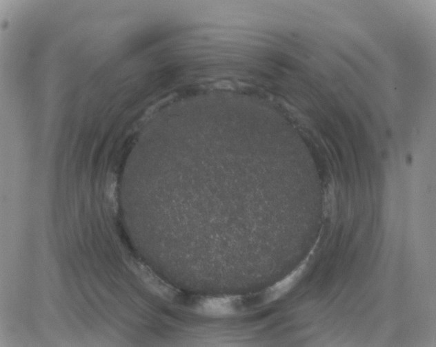 X0000080670178200612301409