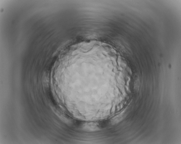 X0000080670179200612301409