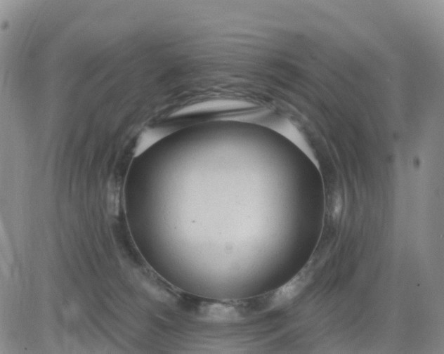 X0000080670180200612301409