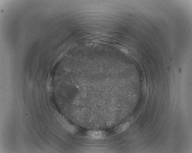 X0000080670181200612301409