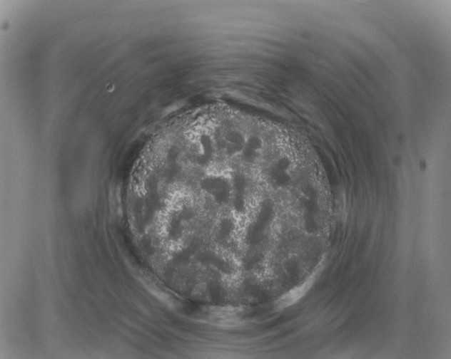 X0000080670182200612301409