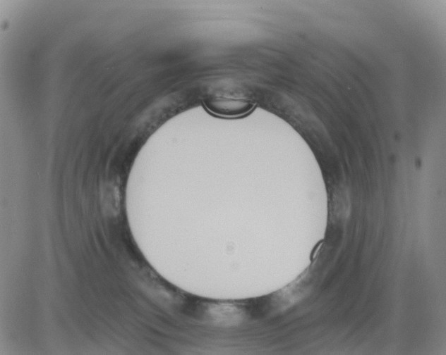 X0000080670183200612301409