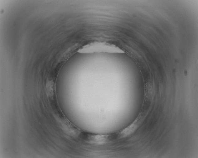 X0000080670184200612301409