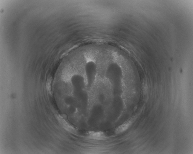 X0000080670185200612301409