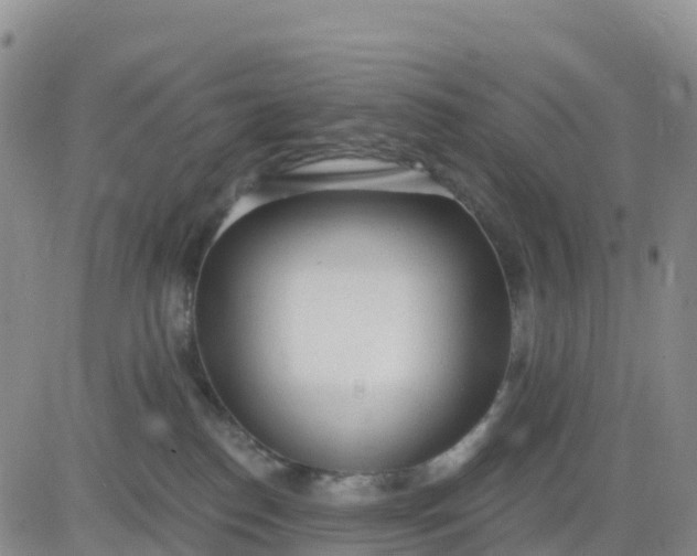 X0000080670186200612301409