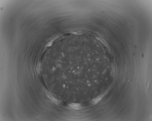 X0000080670189200612301409