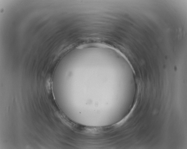 X0000080670190200612301409