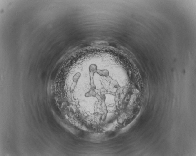 X0000080670191200612301409