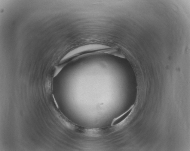 X0000080670192200612301409