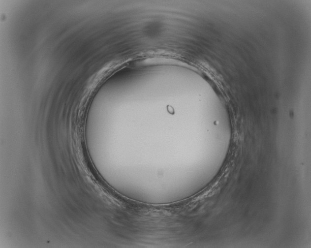 X0000080670193200612301408