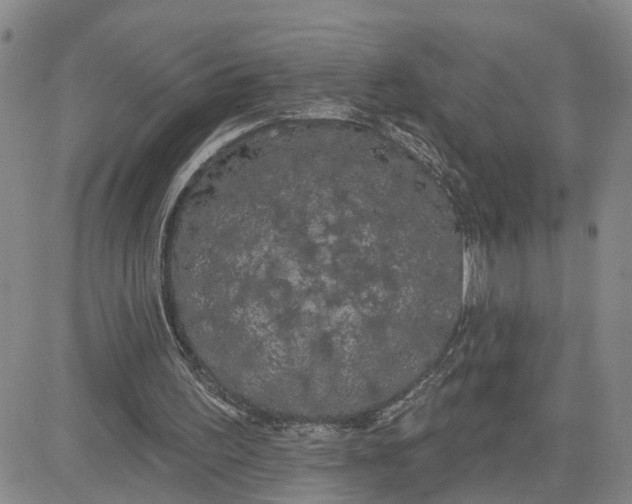 X0000080670195200612301408