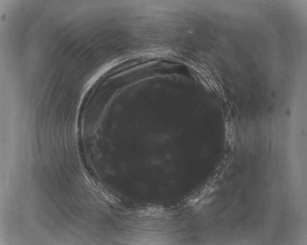 X0000080670196200612301408