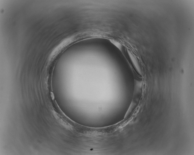 X0000080670197200612301408