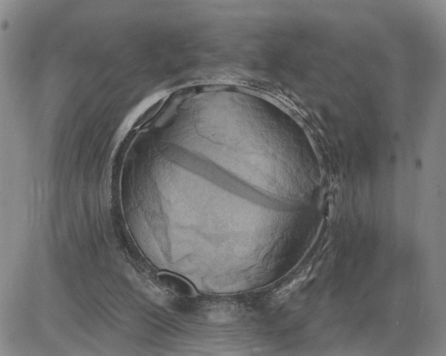 X0000080670200200612301408