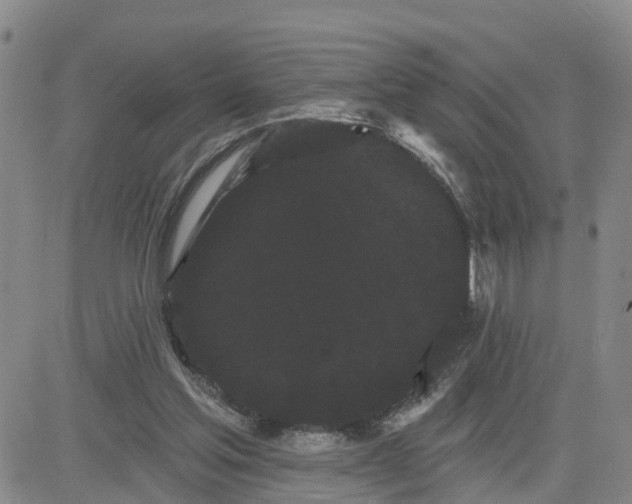 X0000080670205200612301408