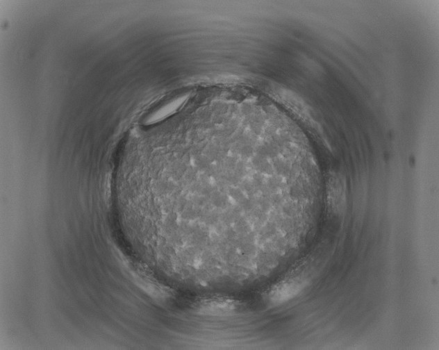 X0000080670206200612301408