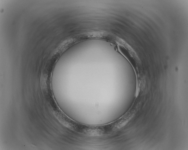 X0000080670209200612301408