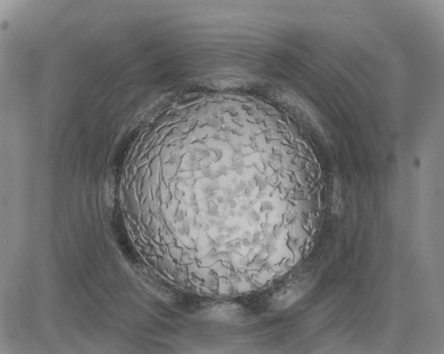 X0000080670210200612301408