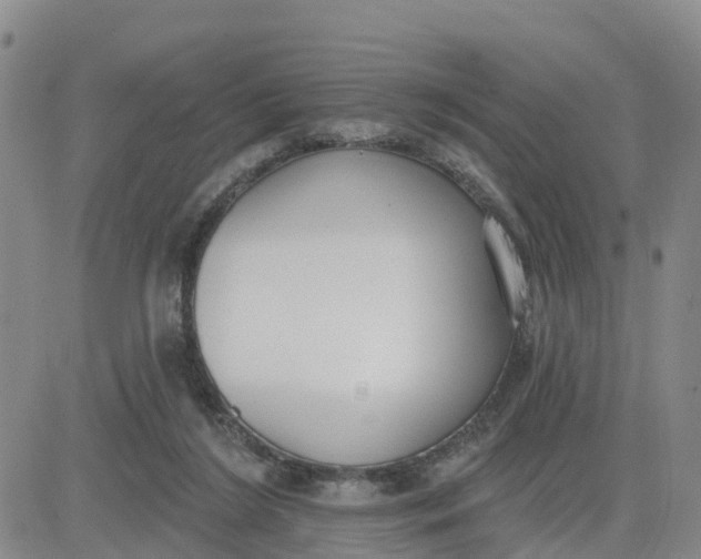 X0000080670212200612301408