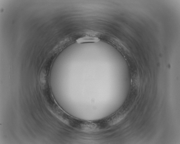 X0000080670215200612301408