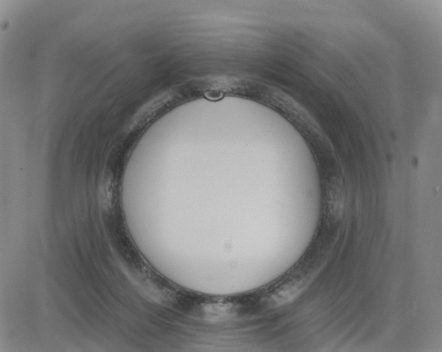 X0000080670216200612301408