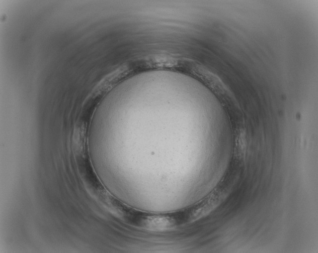 X0000080670218200612301408