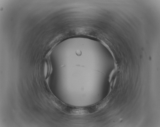 X0000080670219200612301408