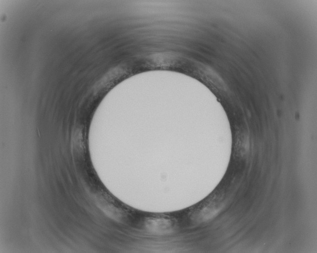 X0000080670220200612301408