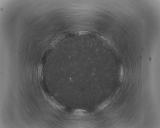 X0000080670222200612301408