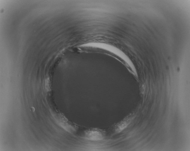 X0000080670224200612301408